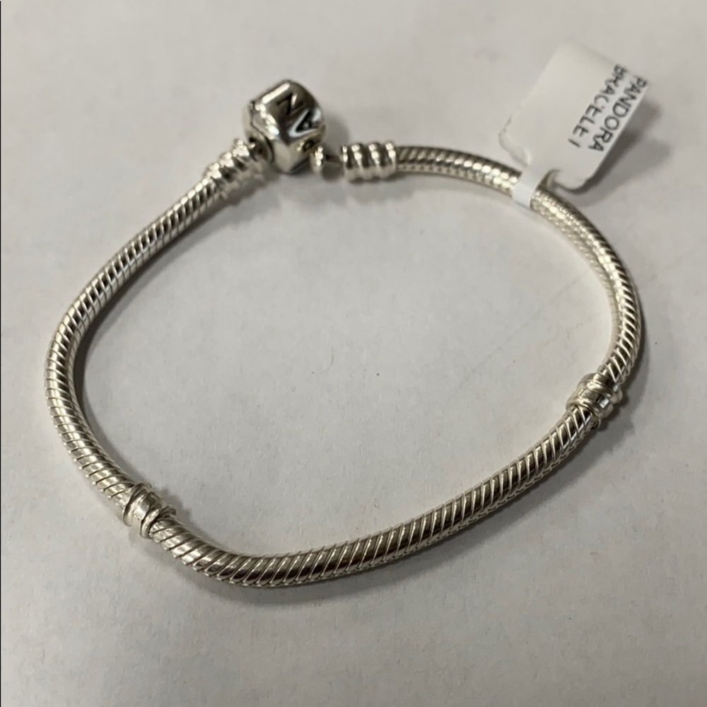 Pandora Charm Bracelet
